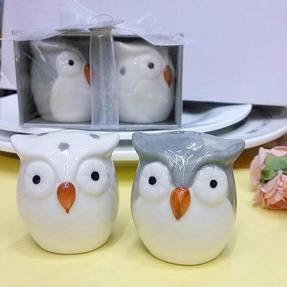 Gardino Delightful Ceramic Owl Salt and Pepper Shakers Set - Add a Touch of Fun to Your Dining Table Gardino